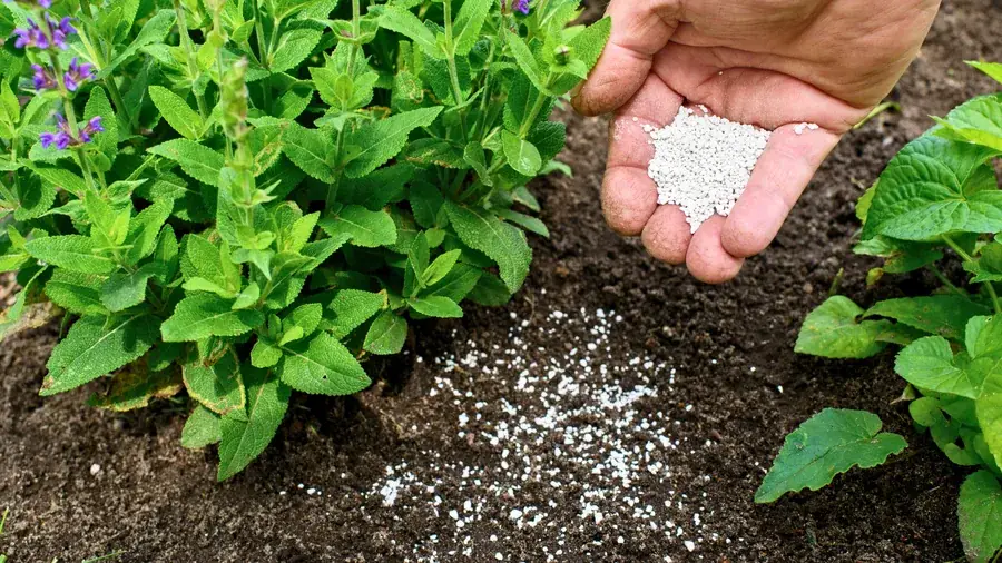 Sector agroindustrial