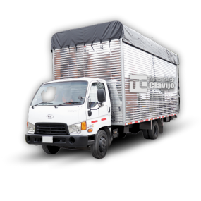 Vehículos con diferentes capacidades, Transportes Clavijo, camion sensillo con platafroma.